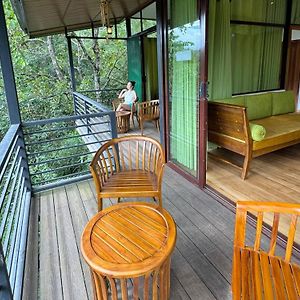 King Room Mountain View nature walk F&B Spa